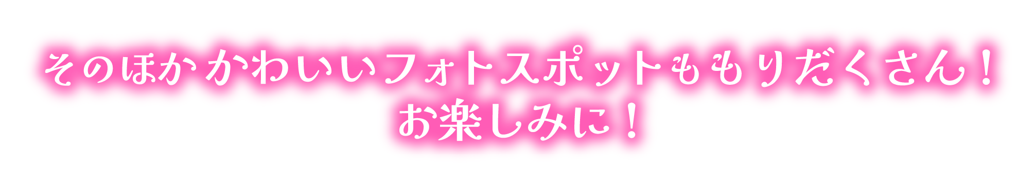 そのほかかわいいフォトスポットももりだくさん!お楽しみに!